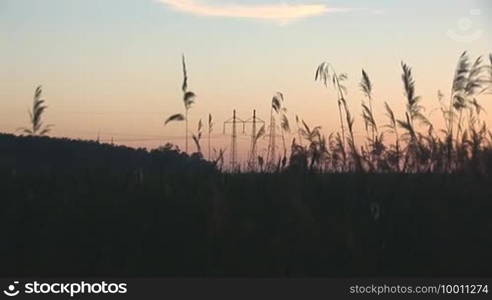 Power line sunset