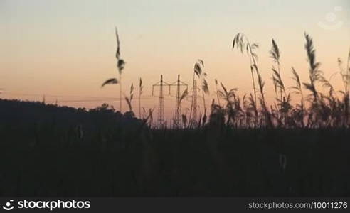 Power line sunset