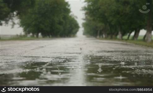 Raindrops in road puddle, surface level