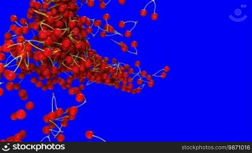 Red cherry flow with slow motion over blue screen