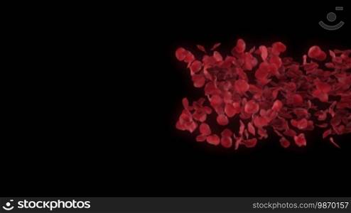 Romantic rose petals heart on black background - Alpha masked