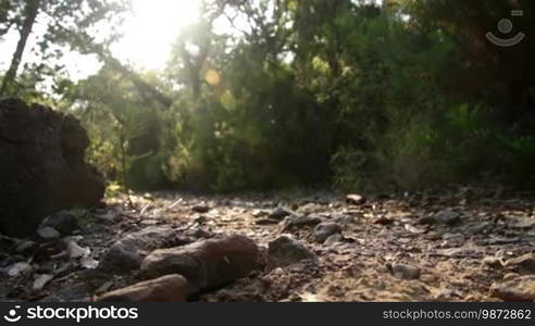 Runner doing sports through the field and up the Stones. Outdoor fitness exercises on the mountain. Healthy life doing outdoor sport. Runner training for a career. Sportsman climbing stones in a rocky mountain.