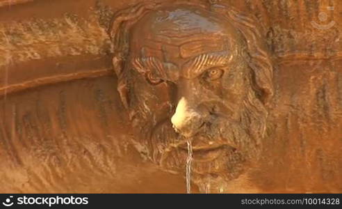 Sculpture in the fountain