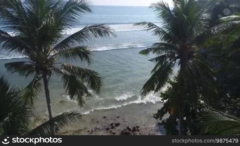 Sea and palm trees top view from sandy beach in summertime. Amazing beach scene with waves breaking in the rocks and sand