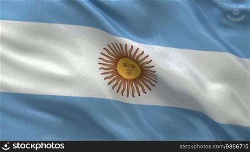 Seamless loop of the Argentine flag gently waving in the wind. High quality, glossy fabric material.