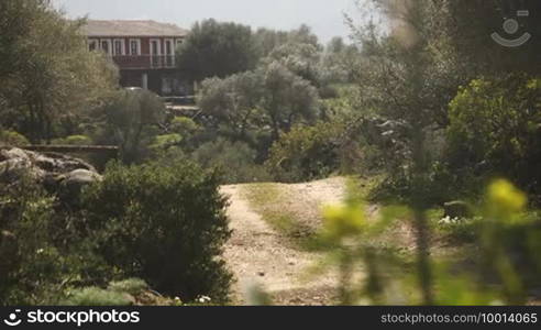 Senior Caucasian man riding horse at full speed on dust track. Dolly shot