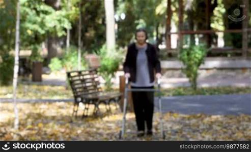 Senior woman walking with walker in autumn park. The person is out of focus but comes into focus gradually.