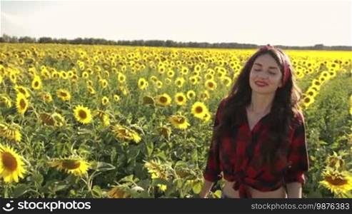 Sensual carefree long hair brunette female in plaid shirt walking through sunflower field with open arms on agricultural landscape. Happy young woman strolling in blooming field of sunflowers enjoying leisure in summertime. Slo mo.