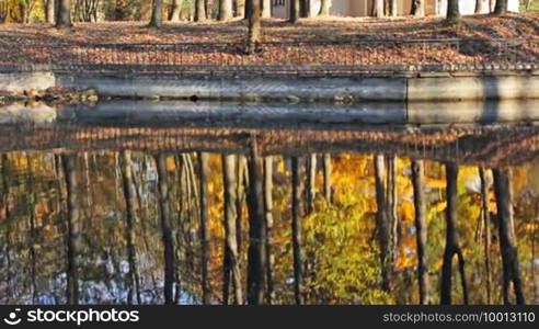 Shore and lake, which reflects beautiful autumn woods