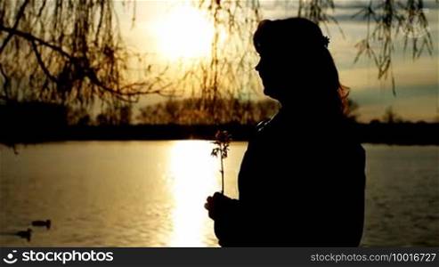 Silhouette of a pretty lady with a flower near a clear lake at sunset