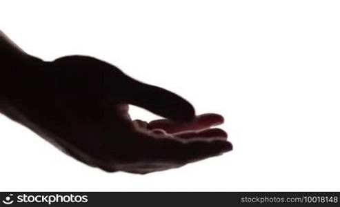 Silhouettes of man and woman hands isolated on white background.