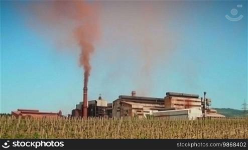 Smoke from a ferronickel factory polluting vineyard