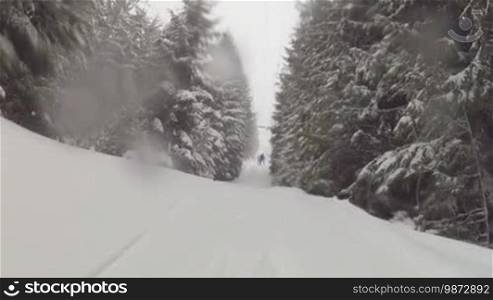 Snowboarding in the mountain forest