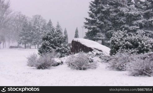 Snowing in park