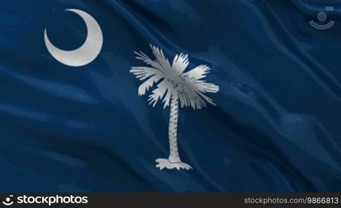 South Carolina state flag endless loop