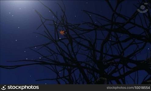 Stars twinkle in the night sky, leaves fall from a winter tree