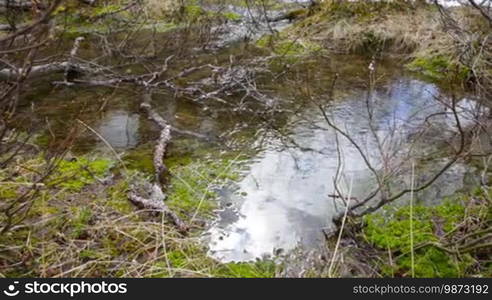 Stream from the glacier