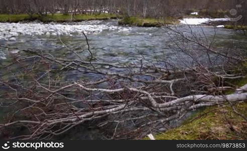 Stream from the glacier