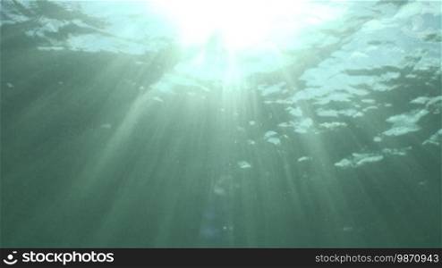 Sunlight penetrates the water surface and creates a reflective play of light.