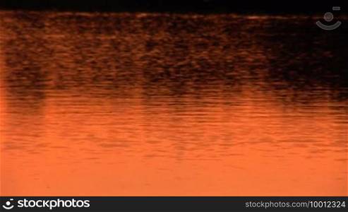 Surface of the water at sunset