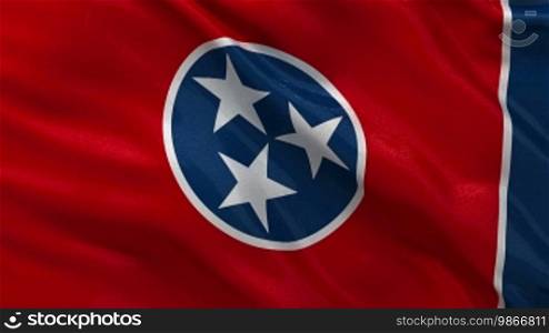 Tennessee state flag endless loop