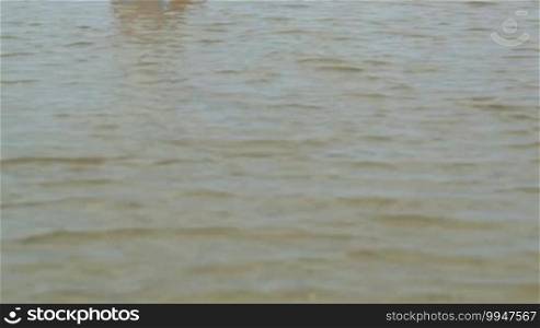 Tilt shot of a woman doing yoga in the water sitting back to the camera