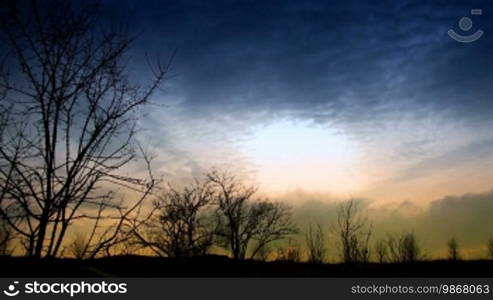 Time lapse clouds and silhouettes of trees at sunset.