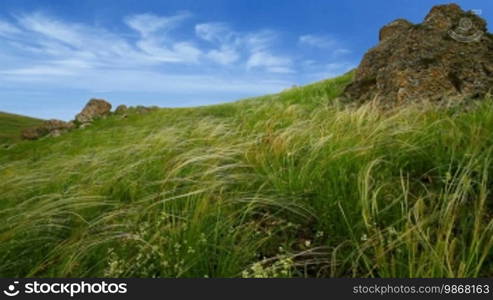 Timelapse of the Crimean steppes. Feather grass and moving clouds.