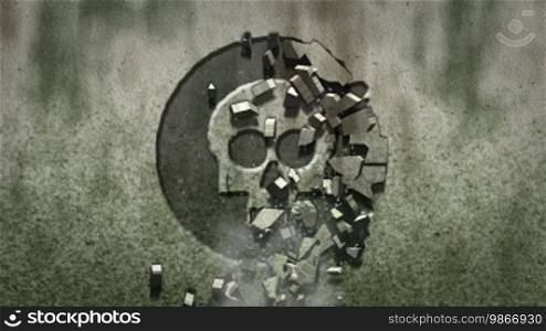 Totenkopf symbol on stone background