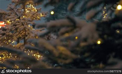 Twinkling Christmas tree with a focus on close-up snowy pine branches. Evening shot
