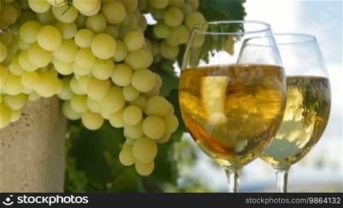 Two glasses of white wine and a bunch of muscat white grapes