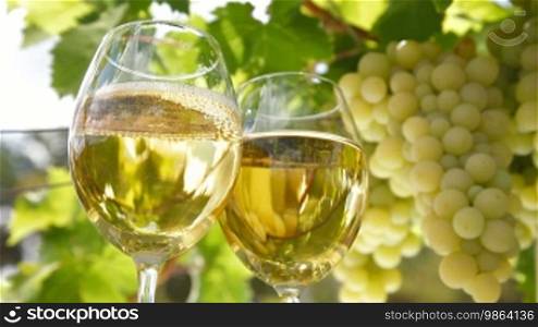 Two glasses of white wine and a bunch of Muscat white grapes