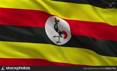 Uganda national flag in the wind. Endless loop