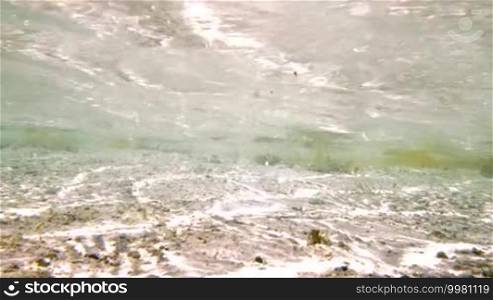 Underwater shot of sunlit sand ground with water plants. Sunlight coming through clear wavy sea