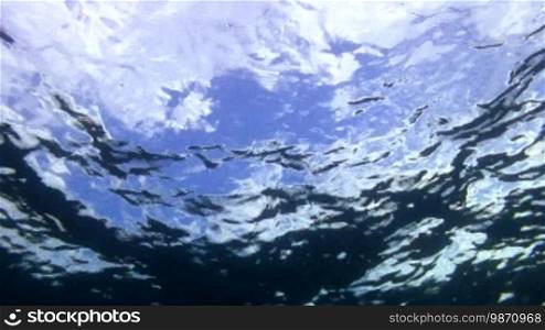 Underwater shot toward the surface in the open water.