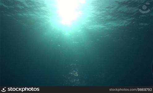 Underwater with a view of the sun