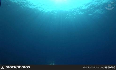 Underwater with a view of the sun