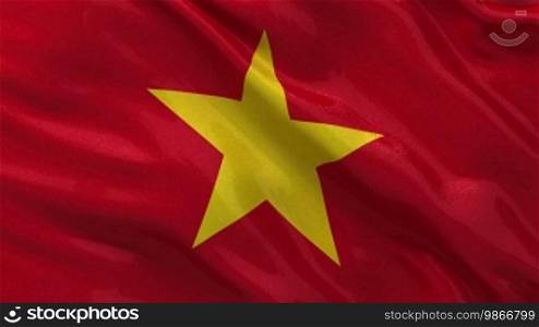 Vietnam flag in the wind. Loop