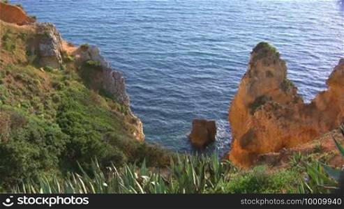 View from rocks covered with green bushes, grass, and cacti on the sea and rock formations / stones / rock islands protruding from the blue sea; in the background the coast of the Algarve, Portugal and mountains.
