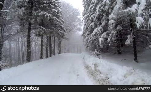 View of an empty snow-covered road in the mountains during winter time with trees on the sides.