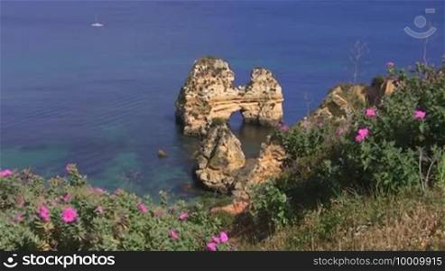 View of rock formations / stone islands in the blue sea from a green-covered rock with pink flowers; in the background a sailing ship. Coast of the Algarve, Portugal.