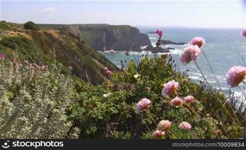 View of the ocean from a colorful flower meadow; high cliffs/rocks in the sea, coast of the Algarve in Portugal; gentle wind, blue sky.