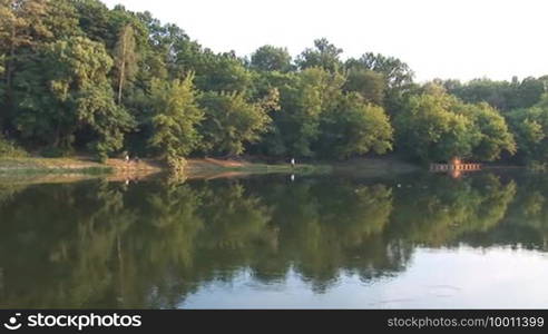 View of the pond