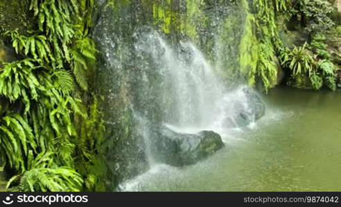 Waterfall with green leaves and pool loop