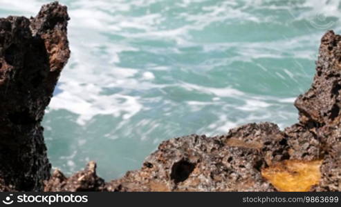 Wave Crashing on the Shore