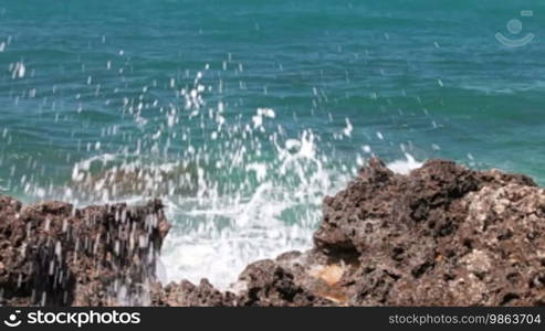 Wave Crashing on the Shore