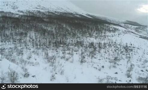Winter landscape in mountains. Smooth snowy hill slope with bare and evergreen trees. Mountain panorama in the distance, aerial view