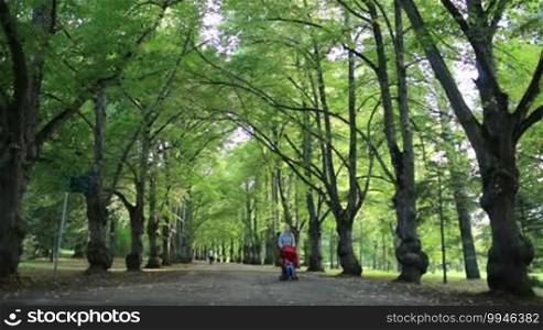 Woman or child carer taking her child for a walk in woodland pushing the pushchair down a tree-lined avenue