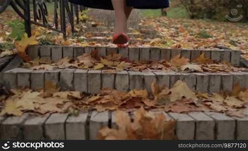 Young woman in mini skirts and orange high heels stepping down the stairs in autumn park. Slim female legs in classic shoes going down an old cobblestone staircase covered with fallen leaves in fall. Closeup. Steadicam stabilized shot. Slow motion.