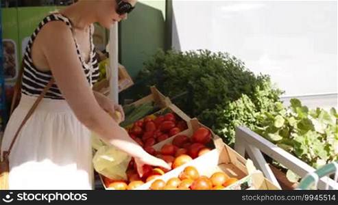 Young woman shopping for fresh vegetables at an open-air market choosing ripe red tomatoes